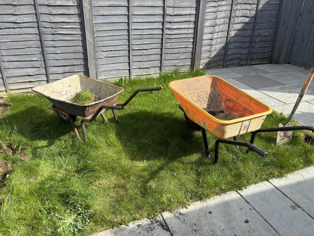 Maintenance Free Lawn